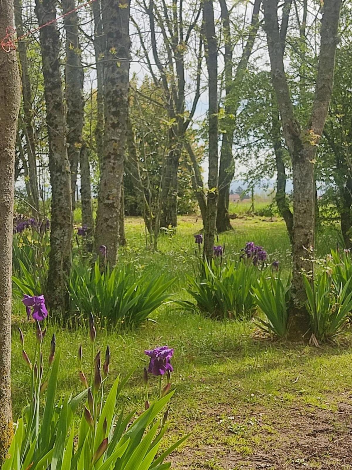 La Frenaie Bed & Breakfast